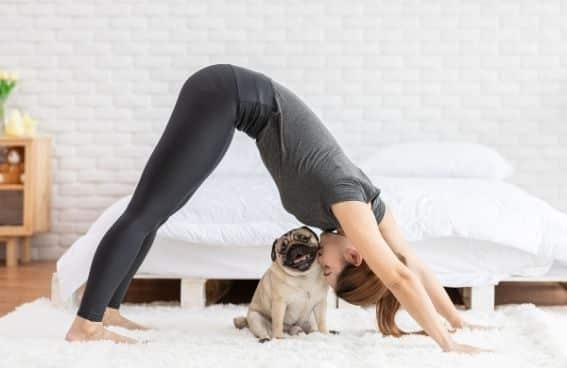 Yoga con perros